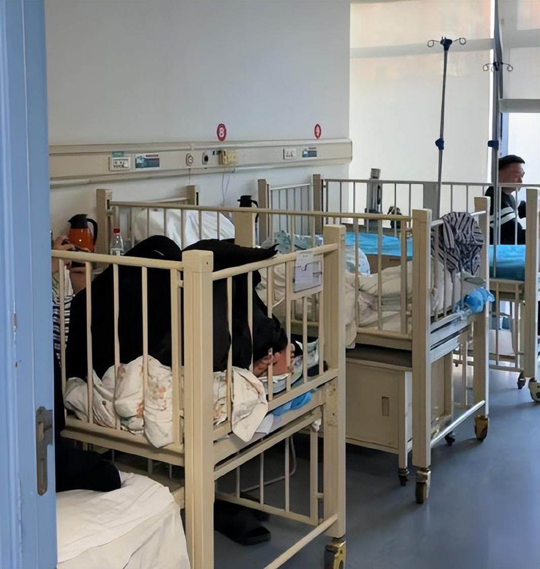 开云体育app安全-李亚鹏难掩激动:找到新地址还带公园,网友申请报名帮忙搬家